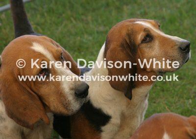 img_6764de-burgh-karendavisonwhite-copy