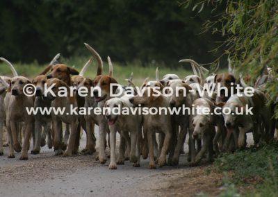 img_6778suffolk-foxhounds-cardsep09