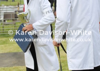 IMG_6789Percy fh karendavisonwhite