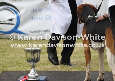 IMG_6790Percy kdwimage