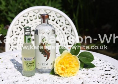 IMG_6826 Ben Branson's Seedlip spice and tonic you have it to try! karendavisonwhite