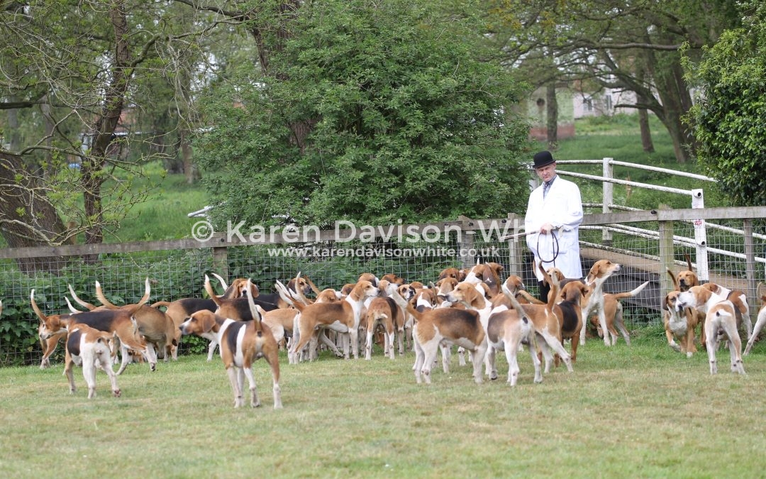 Easton Harriers – close season