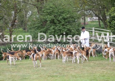 IMG_6894Easton Harriers karendavisonwhite