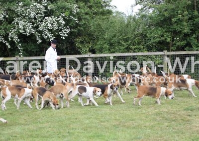 IMG_6897Easton Harriers karendavisownwhite