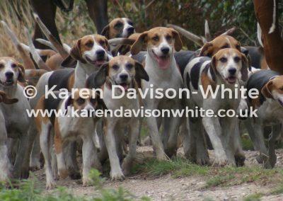 img_6897waveney-harriers-09