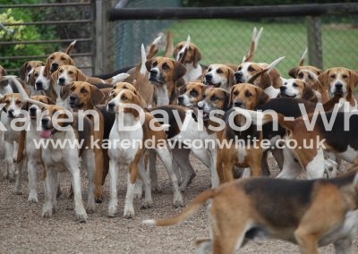 IMG_6942Easton Harriers karendavisonwhite may17