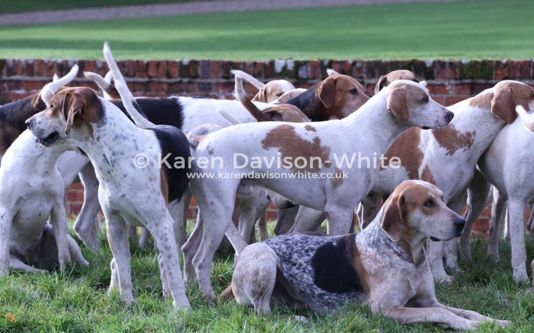 Thurlow Foxhounds Opening Meet 30.10.17