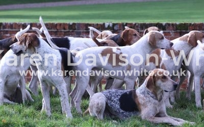 Thurlow Foxhounds Opening Meet 30.10.17
