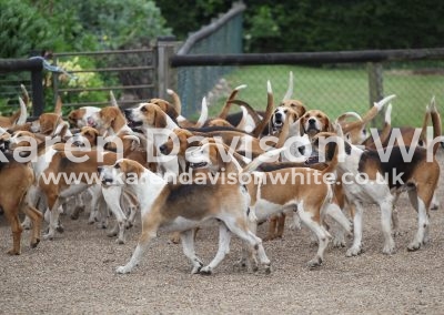 IMG_6948Easton Harriers karendavisonwhite