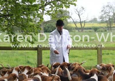 IMG_6982Easton Harriers karendavisonwhite