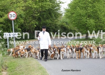 IMG_7013Easton Harriers website