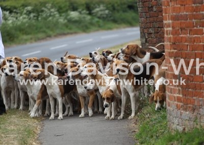 IMG_7072karendavisonwhite Easton Harriers