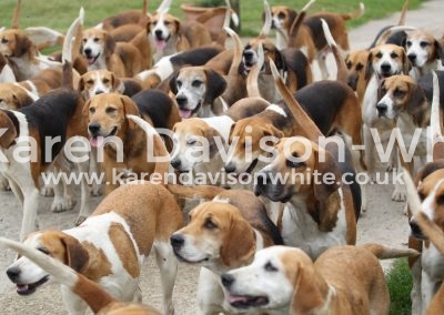 IMG_7126Easton Harriers karendavisonwhite