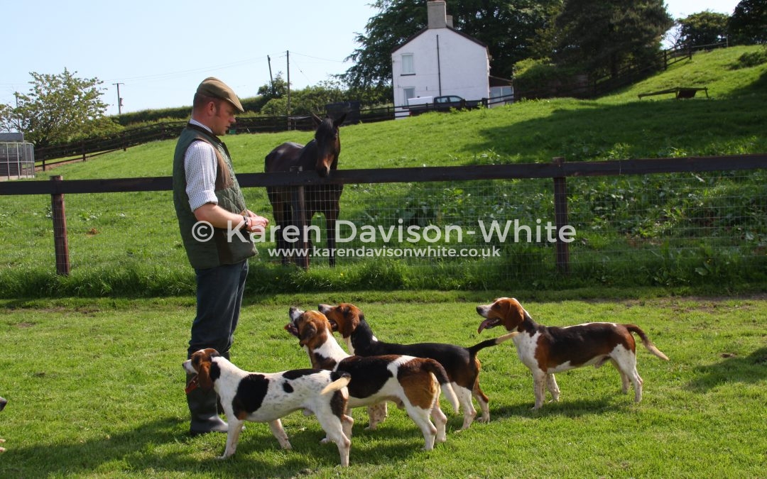 East Lincs. Bassets 2017