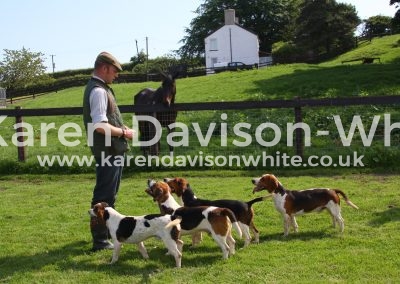 IMG_7139East Lincs Bassets may2017