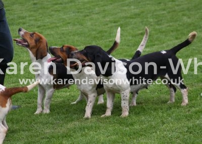 IMG_7196black bitch champion pboro2016