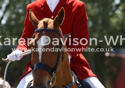 IMG_7201Suffolk Whipper-in Ben Carson karendavisonwhite