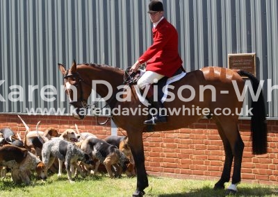 IMG_7208Essex & Suffolk Huntsman Joe Tesseyman karendavisonwhite