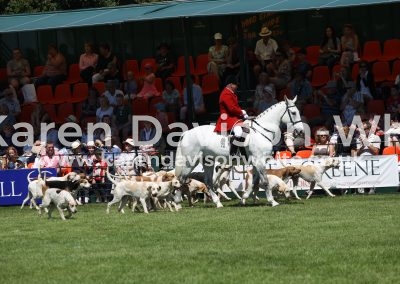 IMG_7211Suffolk Huntsman Sean Hutchinson karendavisonwhite