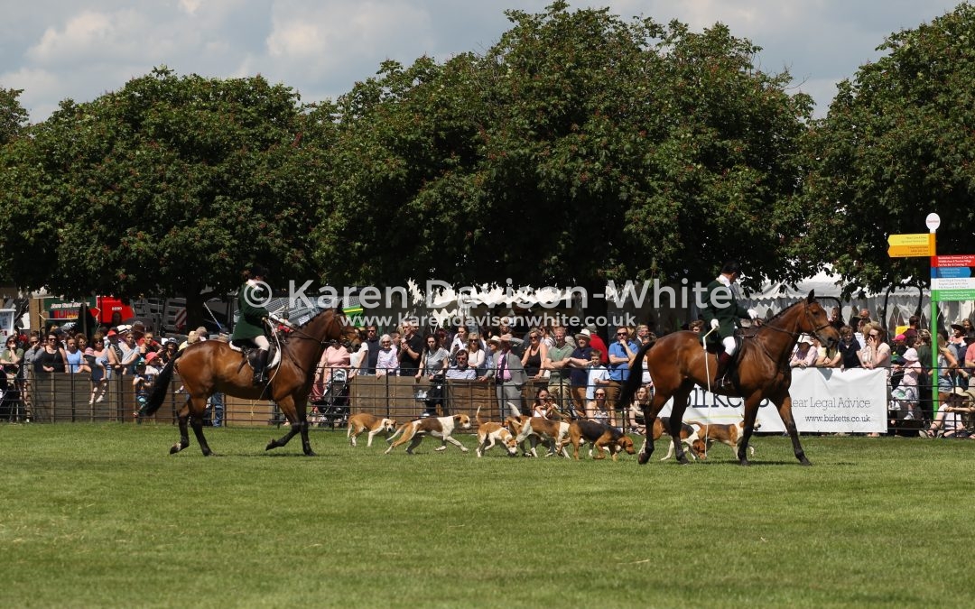 Suffolk County Show 2017 Hound Parade – Take one