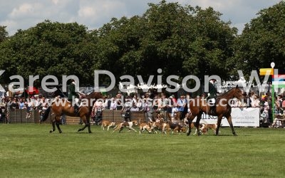 Suffolk County Show 2017 Hound Parade – Take one