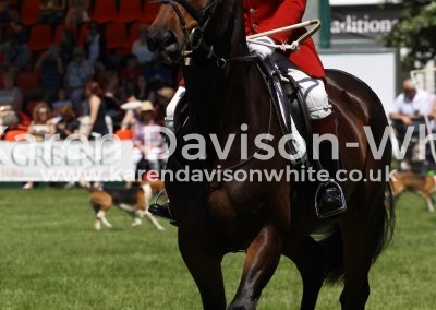 IMG_7226Tom Henson new whipper-in Essex & Suffolk karendavisonwhite