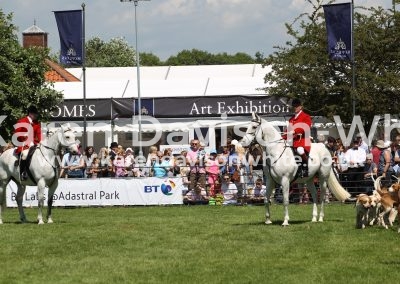 IMG_7232East Essex Foxhounds karendavisonwhite