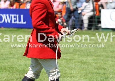 IMG_7247new wh-in East Essex Padharic Moynihan karendavisonwhite