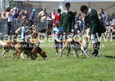 IMG_7252Easton Harriers karendavisonwhite