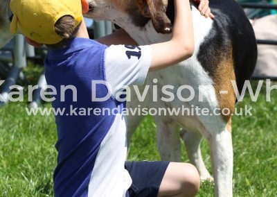 IMG_7273lend me your ear and I will sing you a song kdwimage