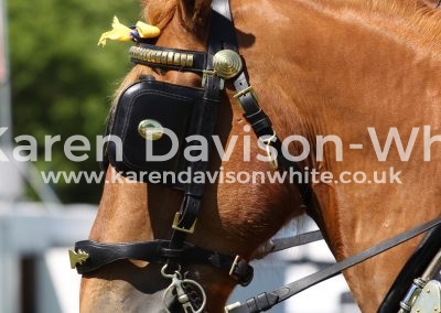 IMG_7371When in Suffolk karendavisonwhite