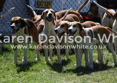 IMG_7374Easton Harriers karendavisonwhite