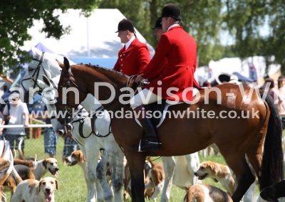 IMG_7382Red coats foxhounds