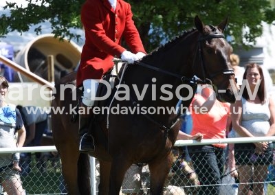 IMG_7387Tom Henson wh-in Essex & Suffolk fhounds karendavisonwhite