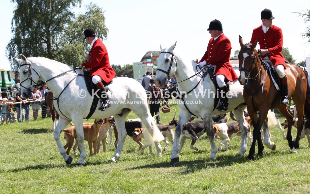 Suffolk County Show 2017 Hound Parade – Take two