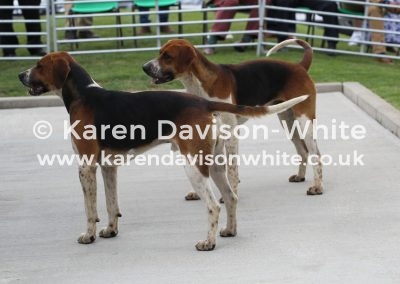 IMG_7392 E&S LAWYER AND LAYMAN