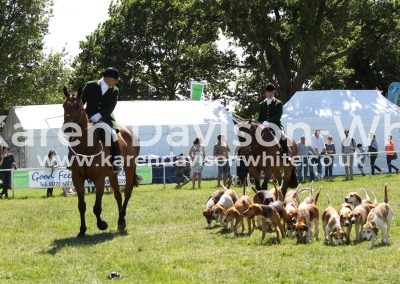 IMG_7392Easton Harriers karendavisonwhite