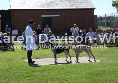 IMG_739Thurlow Sable Champion and Safeguard VWH Steptoe '13 Sally '12 karendavisonwhite