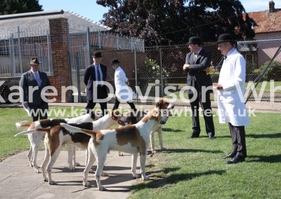 IMG_7408Thurlow Foxhounds