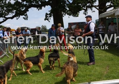 IMG_7442Eastern Counties Mink Hounds