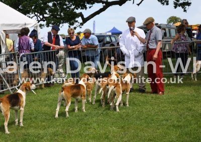 IMG_7450Easton Harriers karendavisonwhite