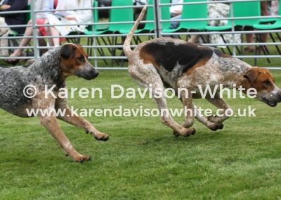 IMG_7469Latin and Lavender