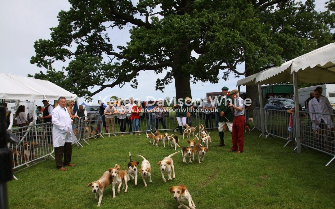 Euston Rural Pastimes 11.6.2017 Take one