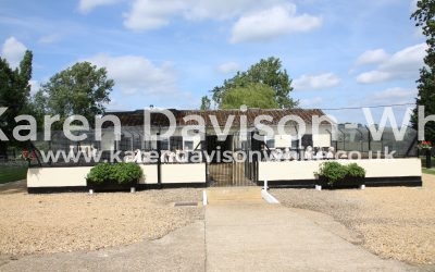 West Norfolk Foxhounds Puppy Show 16.6.17 take one