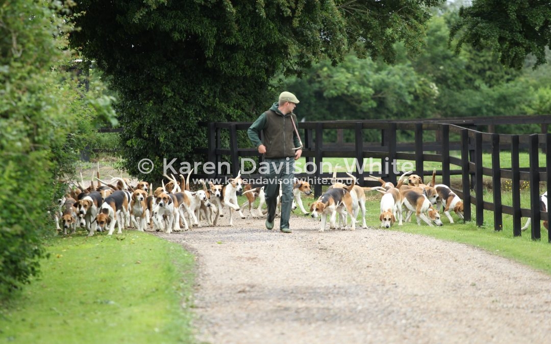 Dunston Harriers June 2017