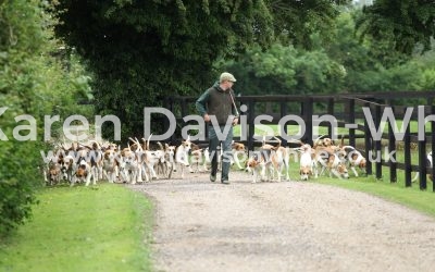 Dunston Harriers June 2017