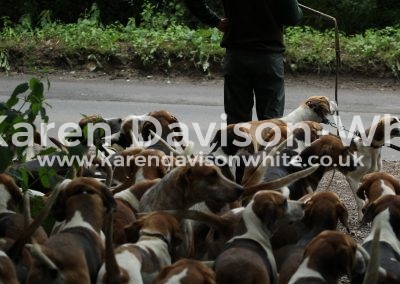 IMG_7568Dunston Harriers kdwimage