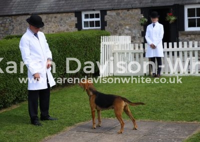 IMG_7596Best entered hound season 2016 17 Galaxy walked by Mr & Mrs Gray
