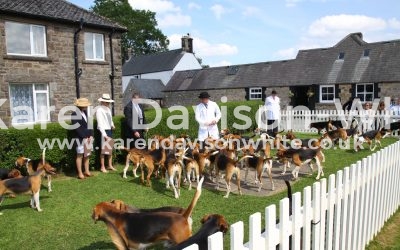 High Peak Hunt Entry of Young Hounds 17.6.17 Take one