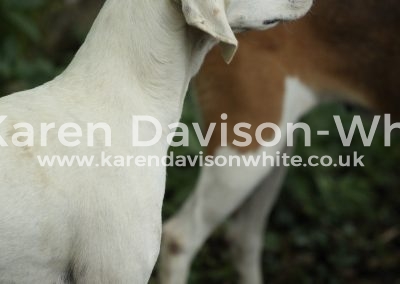 IMG_7612Reason kdwimage